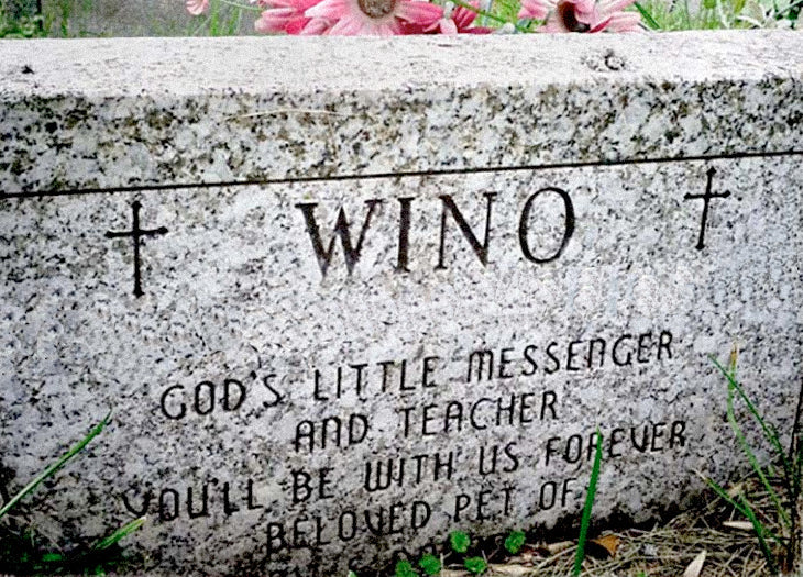 Wino