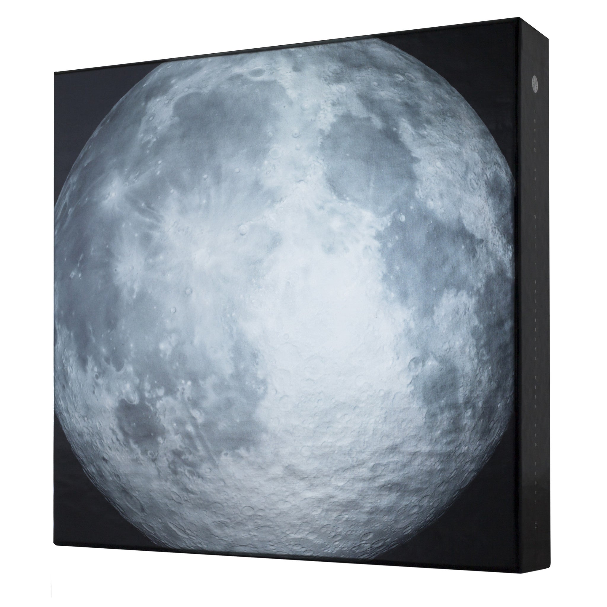 AWalshPhoto-TRL-ENVY-00_Square