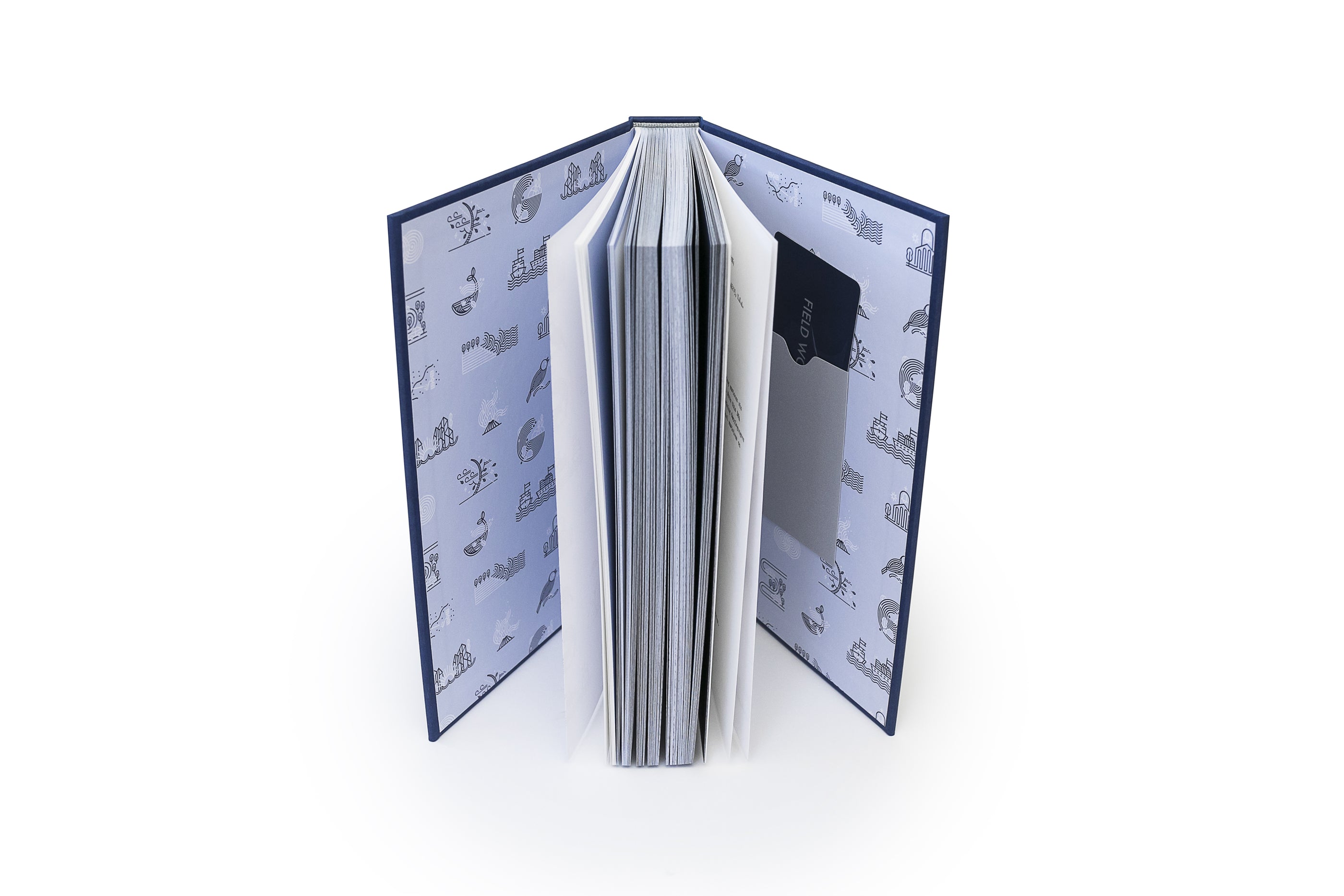 Metaphonics: The Complete Field Works Recordings - Temporary Residence Ltd