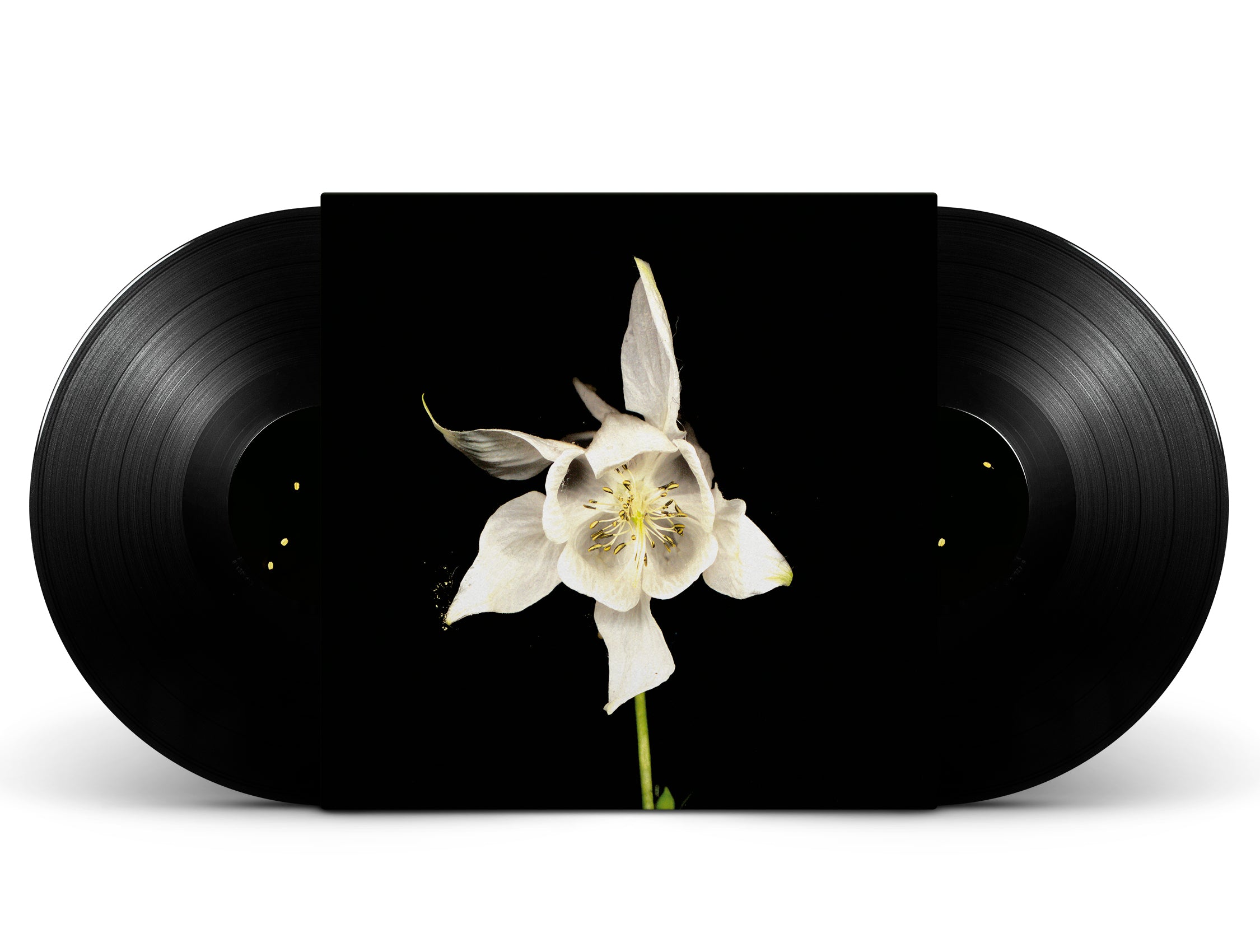 TRR043LP_Mock-Up_Front.jpg?v=