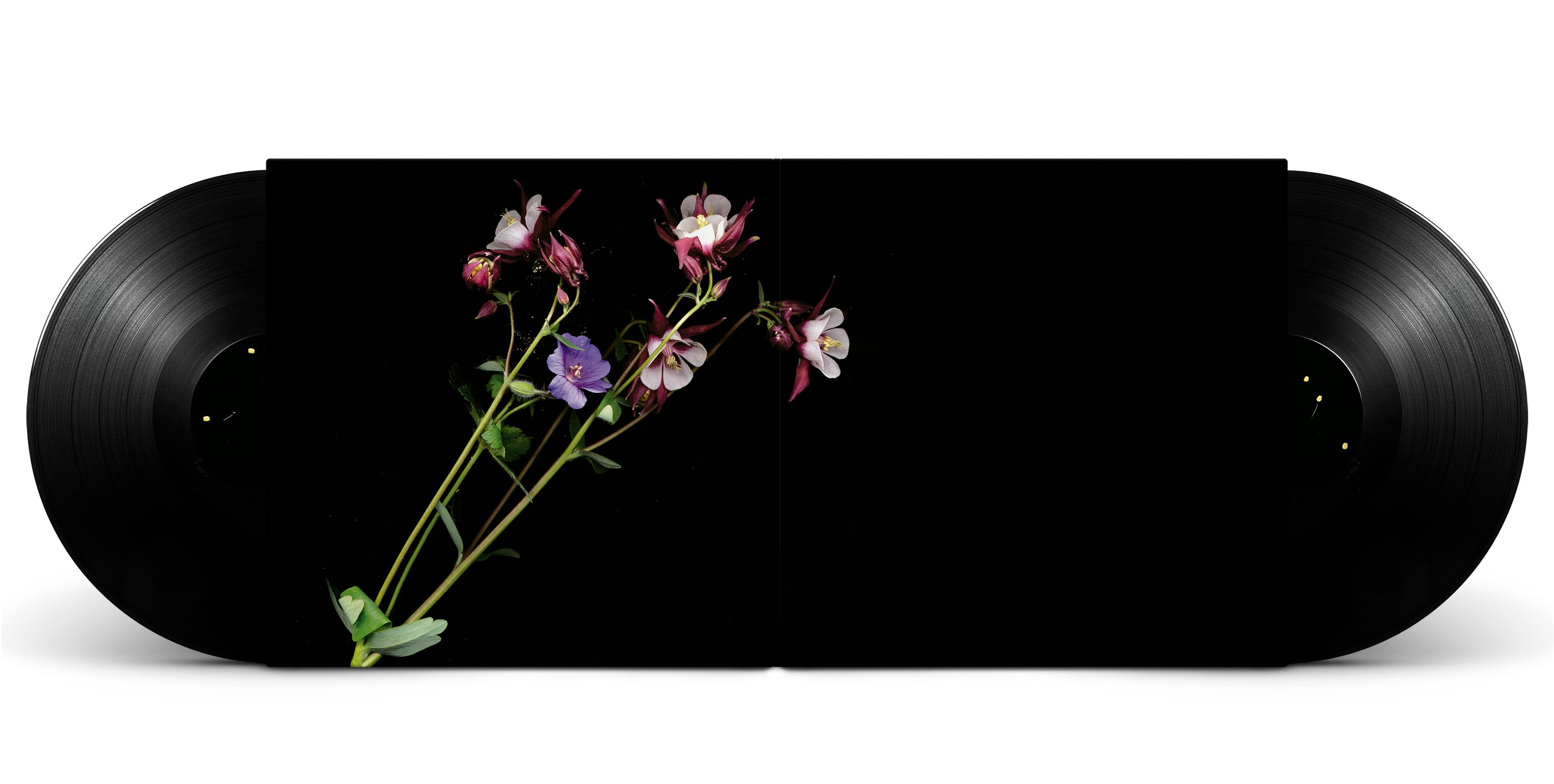 Happiness – Anniversary Edition