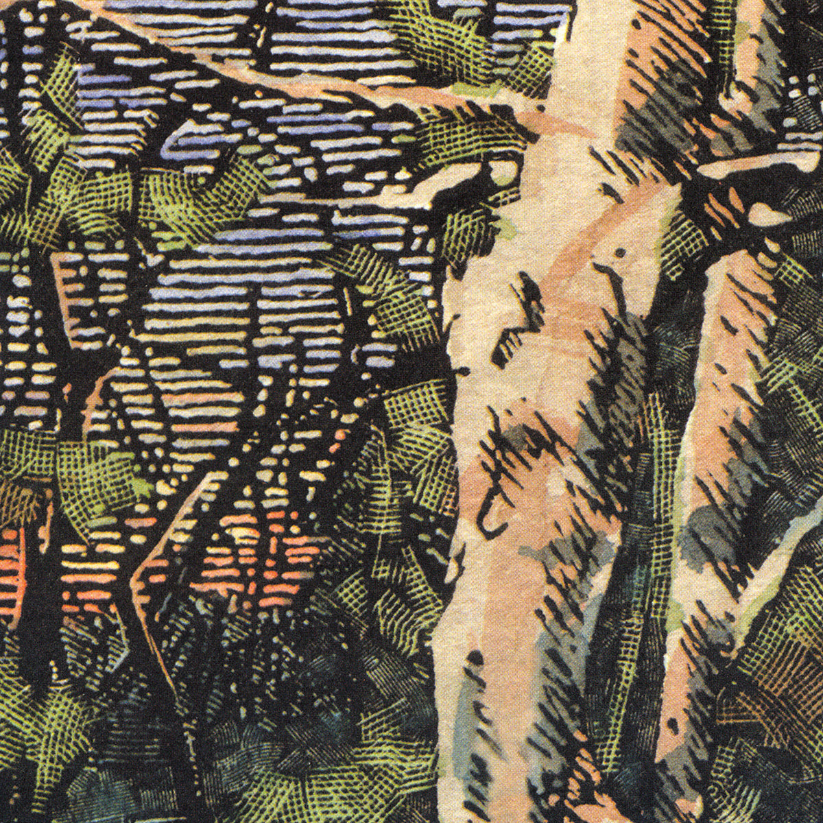 Asleep Many Years In The Wood - Temporary Residence Ltd