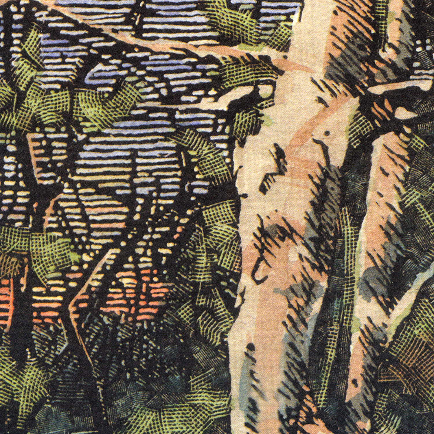 Asleep Many Years In The Wood - Temporary Residence Ltd