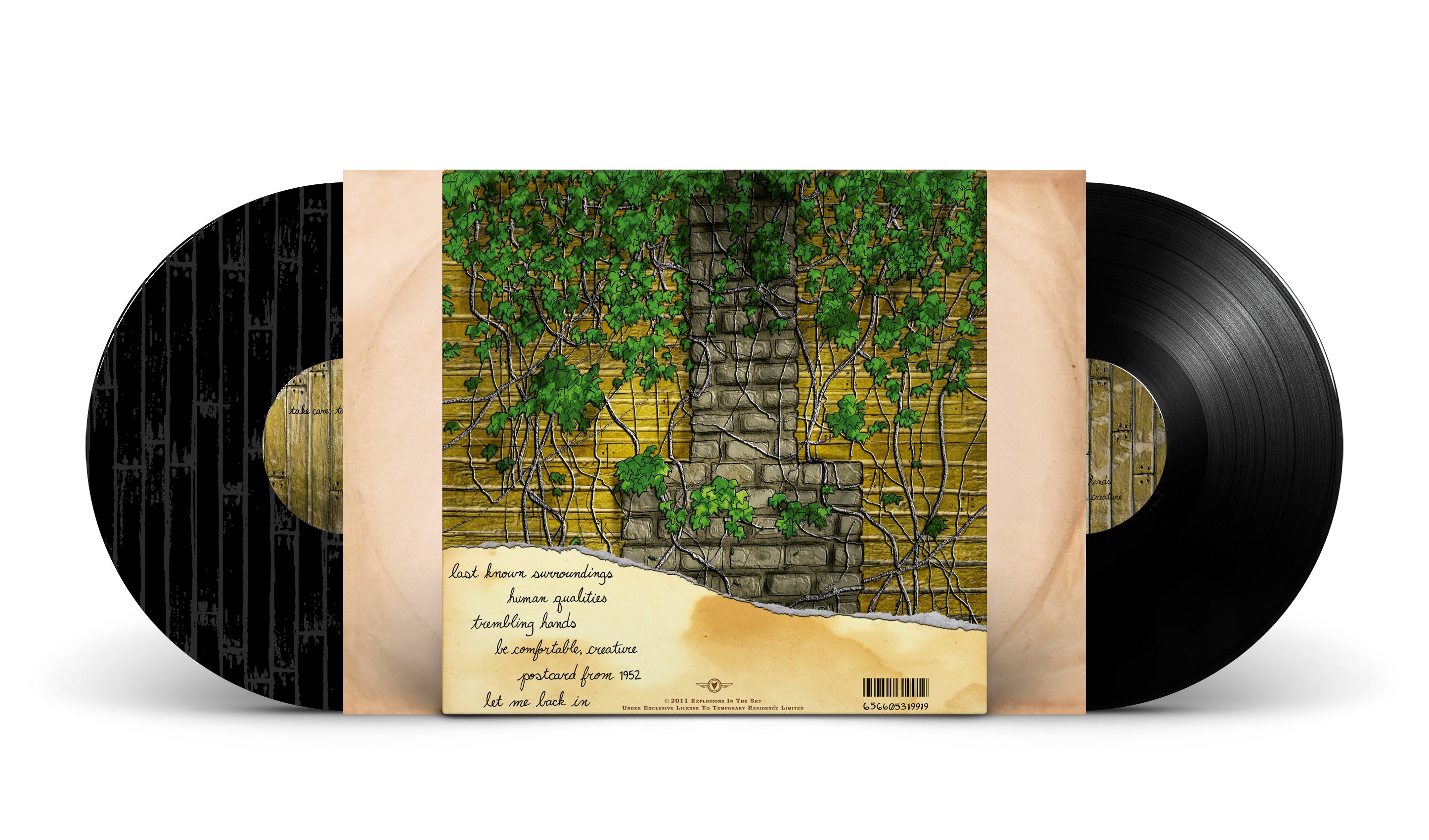 TRR199LP_Mock-Up_Back.jpg?v=