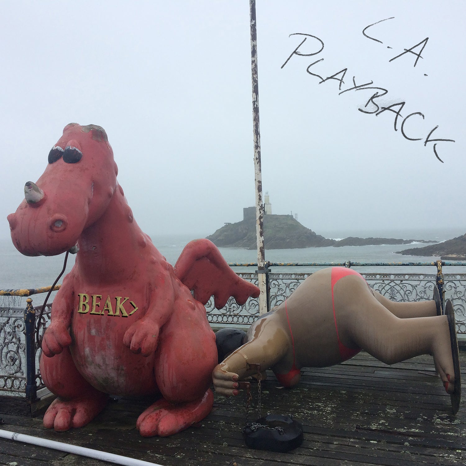 TRR308_Beak__HI-RES_1500x.jpg?