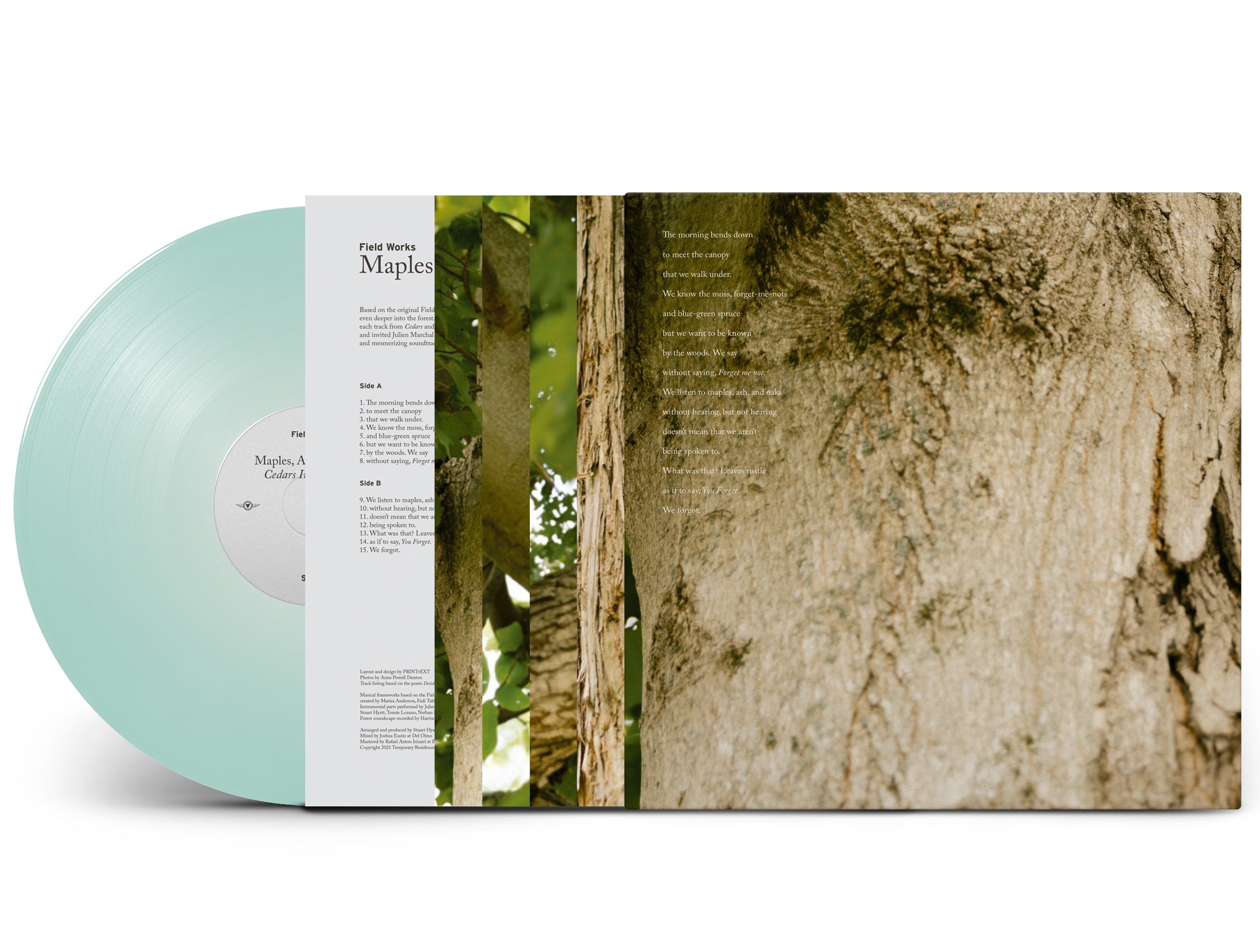 Maples, Ash, and Oaks: Cedars Instrumentals